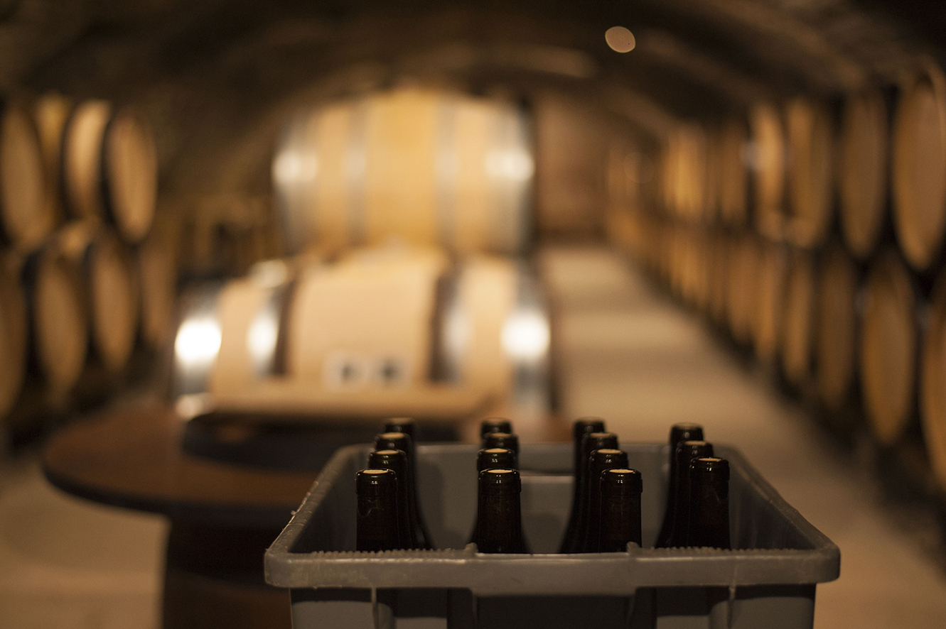 reportage photo sur le bureau interprofessionnel des vins de Bourgogne